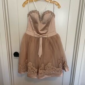 Blush Pink Embellished Tulle Party Dress